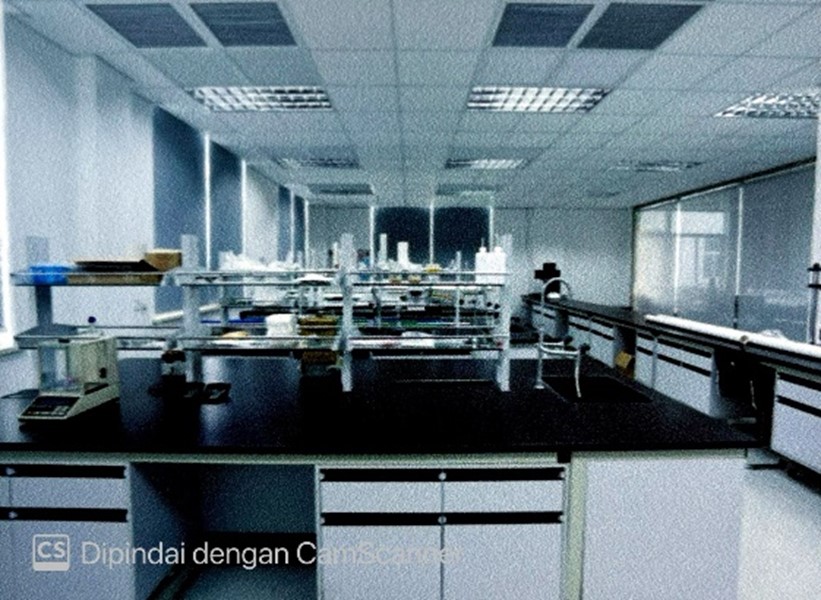 2010